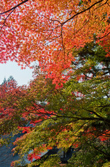 Scenery around Mt.Takao in Kyoto,Japan.