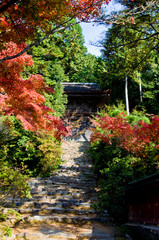 Scenery around Jingoji Temple in Kyoto,Japan.