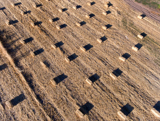hay bales, straw, farm, bales in a field, agriculture, pattern, abstract, 
