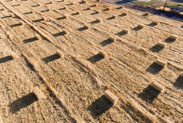 hay bales, straw, farm, bales in a field, agriculture, pattern, abstract, 