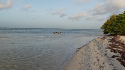playa