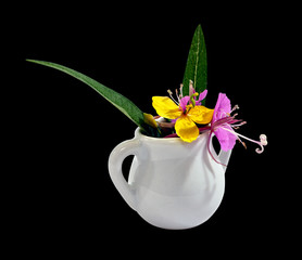 field flowers in a white vessel isolated on black background