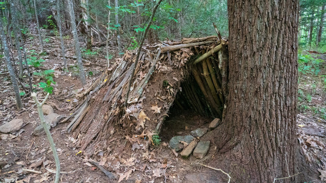 Bushcraft Survival A frame Debris Hut Shelter. Primitive Makeshift camping in the forest wilderness of the Blue Ridge Mountains.