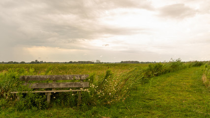 The Bench on the Left