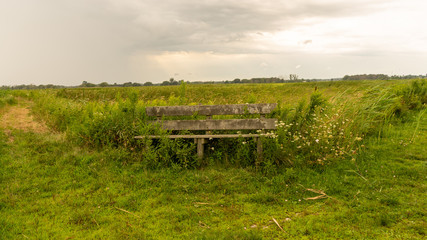The bench in the middle