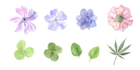 Papier Peint photo Plantes tropicales 水彩で描く花と葉セット