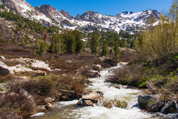 Lamoille Creek and the Ruby Mountains During the Spring Thaw