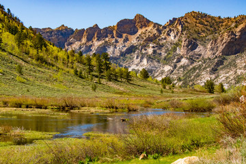 Peaks of Ruby Mountains and Dollar Lake Looking Towards Liberty Pass in the Lamoille Canyon