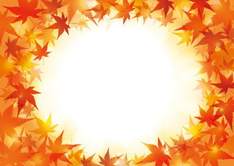 Obraz premium 紅葉 赤 秋 フレーム 