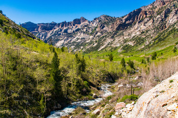 Spring in Lamoille Canyon