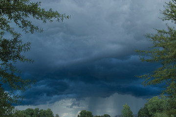 Distant Rain