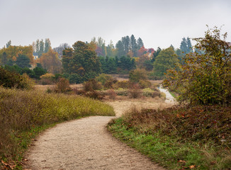 road in autumn