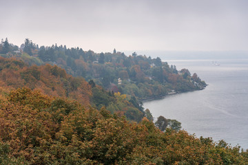 Coastline in Pacific Northwest with fall colors