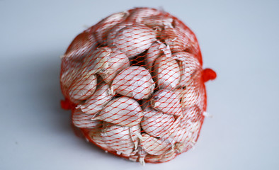 Garlic in a mesh bag on white background.