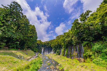 Fototapeta na wymiar 静岡県富士宮市　白糸の滝
