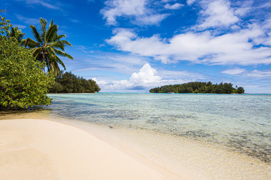Amazing landscape of Tahiti