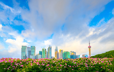 The morning of Lujiazui in Shanghai, China, with the prospect of flower beds