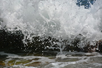 Fototapeta na wymiar Splashing Wave Close up