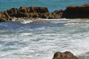 Ocean Foam Coral Reef