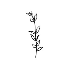 One Line Branch Of The Plant. Continuous line Botanical leaves In a Modern Minimalist Style. Vector Illustration.