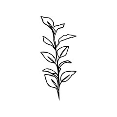 One Line Ficus plant. Continuous line Leaves Of The Plant In a Modern Minimalist Style. Vector Illustration.