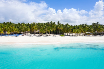 Fototapeta na wymiar Aerial view on tropical island with palm trees and caribbean sea