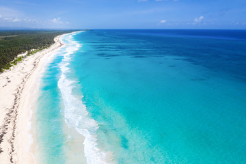 Aerial view from drone on wild tropical coast with coconut palm trees and turquoise caribbean sea