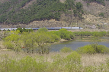 철도. 봄. 풍경. 물류. 철길. 여행. 봄꽃. 관광열차.공공 재산
