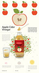 apple cider vinegar in glass of fresh water, Himalayan salt, chia seed and lemon, info graphic food, Flat design, vector illustration