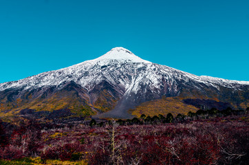 Fototapeta premium Volcano Lanin, Chile