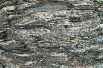 Outside nature photo featuring a close up photo textures of beach side rock