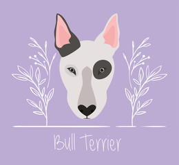 cute bull terrier dog pet head character