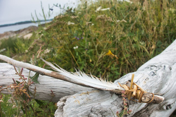 Outside nature photo featuring a magic wand with feather on a wooden branch