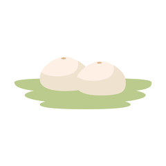 fresh cantaloupes in garden icon