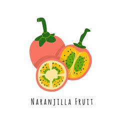 Naranjilla fruit flat vector illustration
