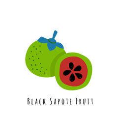 Black sapote fruit  illustration