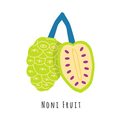 Noni fruit flat vector illustration