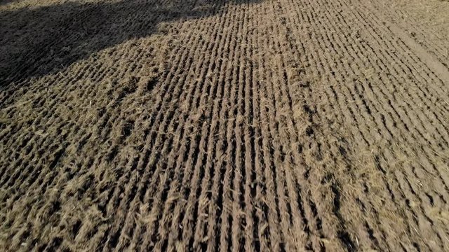 Aerial shot on swowing field after harvest, brown area waiting for gorwing plants, 4k by brone
