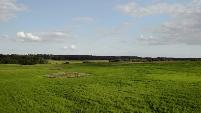 Aerial shot on green grass field, small hills and trees on the horizon