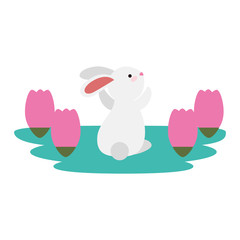 cute and little rabbit in roses garden scene
