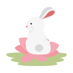 cute and little rabbit in lotus flower character