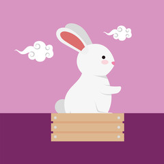cute and little rabbit in wooden box character