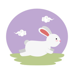 cute and little rabbit in the field character