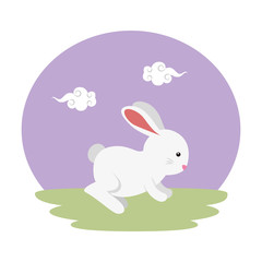 cute and little rabbit in the field character