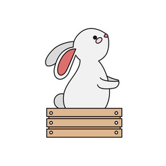 cute and little rabbit in wooden box character