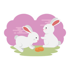 cute and little rabbits couple in grass with flower