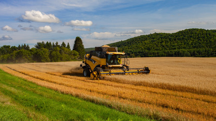 Fototapeta premium Combine in the field