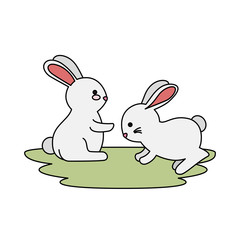 cute and little rabbits couple in grass characters