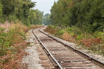 railroad in the country side with trees and bushes on both sides  on an over cast day