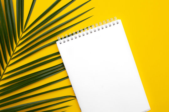 White sheet on yellow back and palm leaves